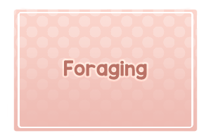 Foraging