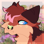 Avatar of Null