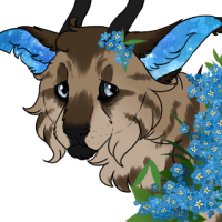 Thumbnail for SC-1536: Adler