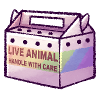 Pet Choice Box [Pride 2024]