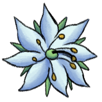 Starflower