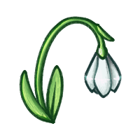 Snowdrop