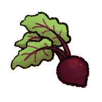 Beetroot