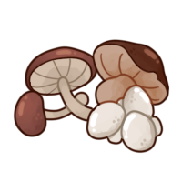 Mushrooms